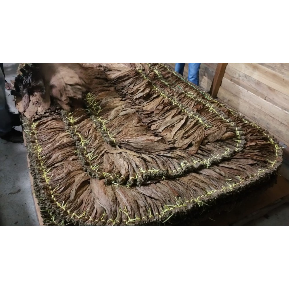 Jamastran Tabac Honduras Jamastran Sous-cape