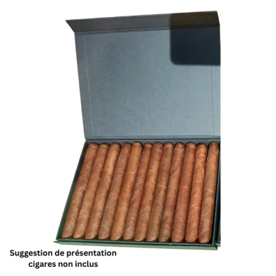 Boite à cigare aimantée