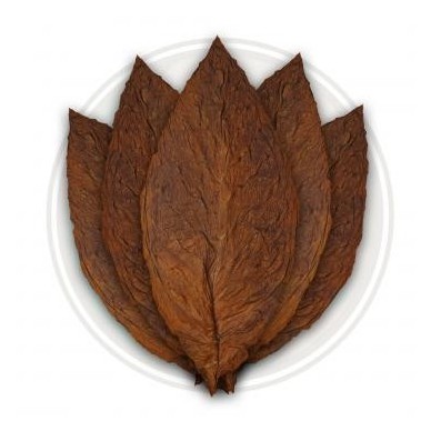 Sous cape Connecticut Broadleaf