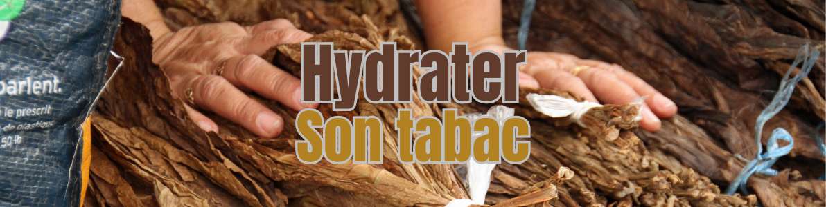 Hydrater son tabac