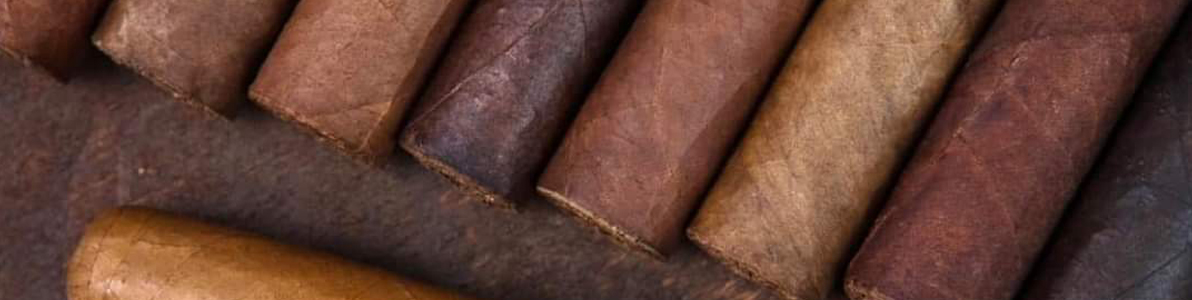 des cigares roulés lors de formations de roulage de cigares cigar craft