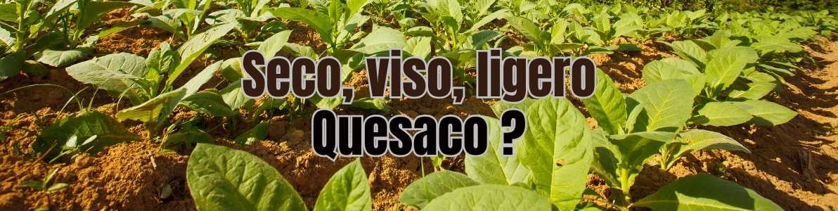 Seco, viso, ligero : quésaquo ???